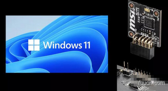Windows11怎么查询tpm版本?Windows11查询tpm版本教程