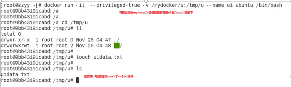 一篇文章教你实战Docker容器数据卷