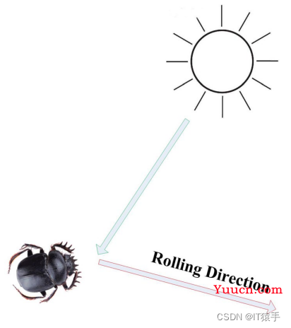 单目标优化：蜣螂优化算法（Dung beetle optimizer，DBO）