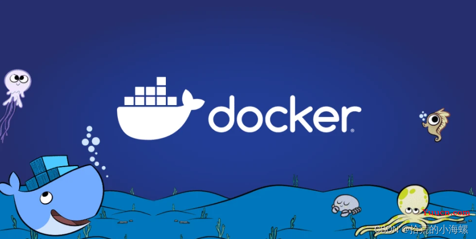 Docker：常用的指令集