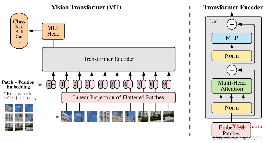【pytorch】Vision Transformer实现图像分类+可视化+训练数据保存