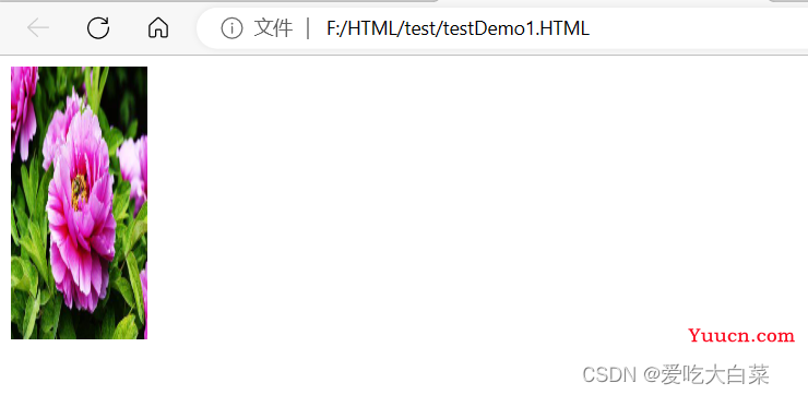 【JavaEE】HTML基础知识
