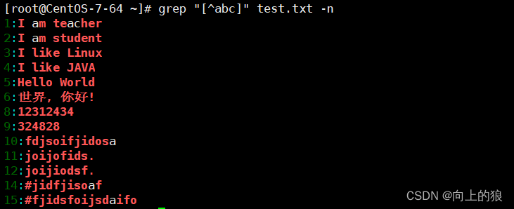 Linux中grep详解